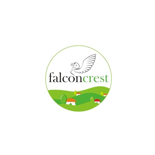 Falcon Crest Resort